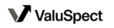 ValuSpect Logo